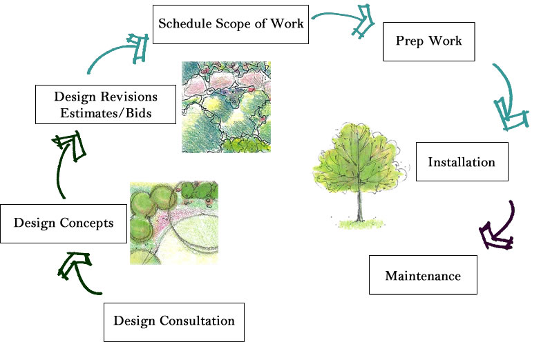 Design Process