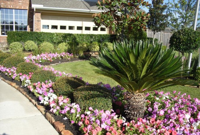 Gardening