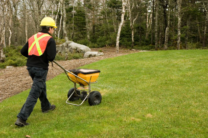 Hiring a Professional Contractor
