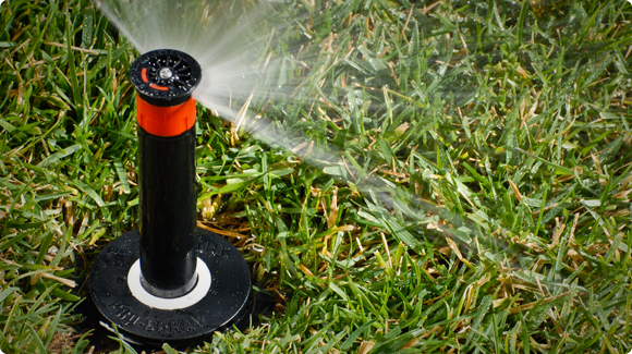 Pro-Spray