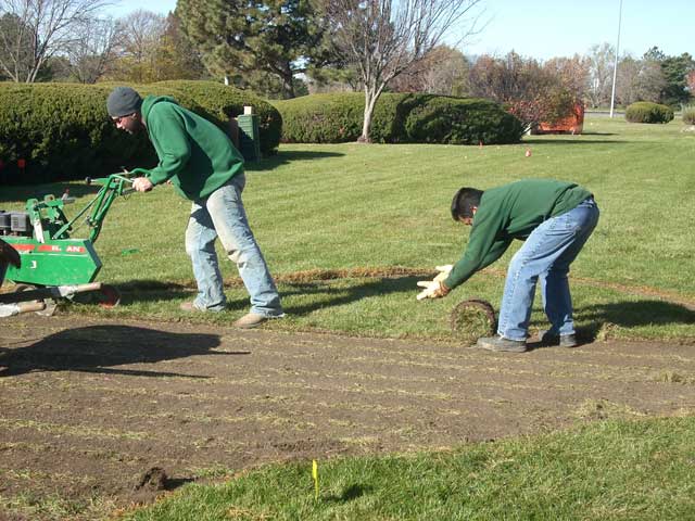 Soil, Sand and SOD
